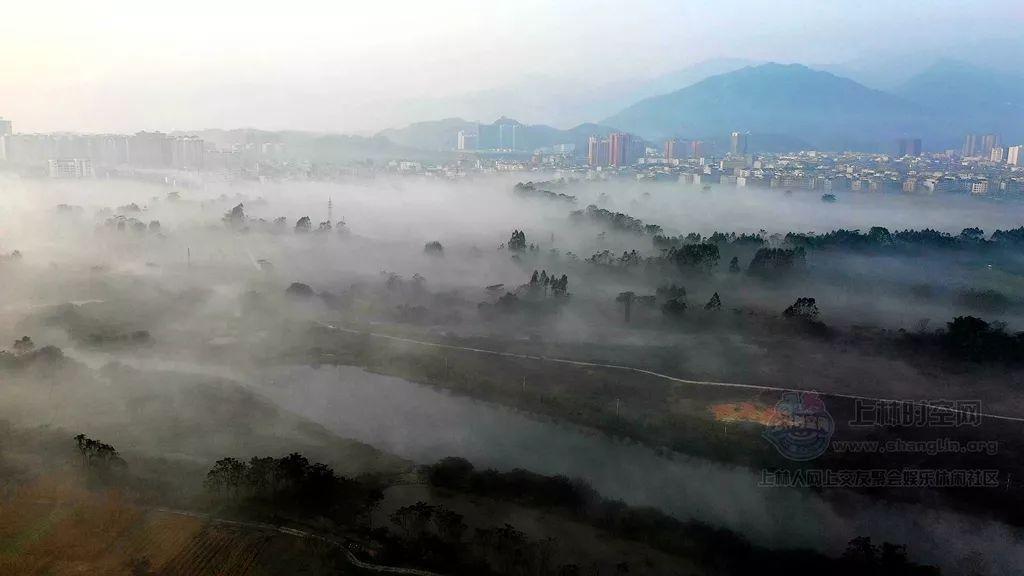 两个月大的鹦鹉可以遛弯吗？