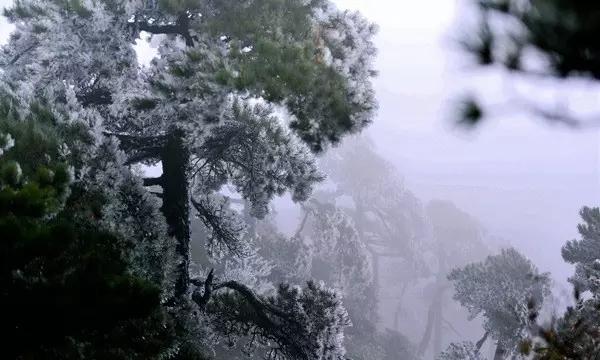冲浪骑士