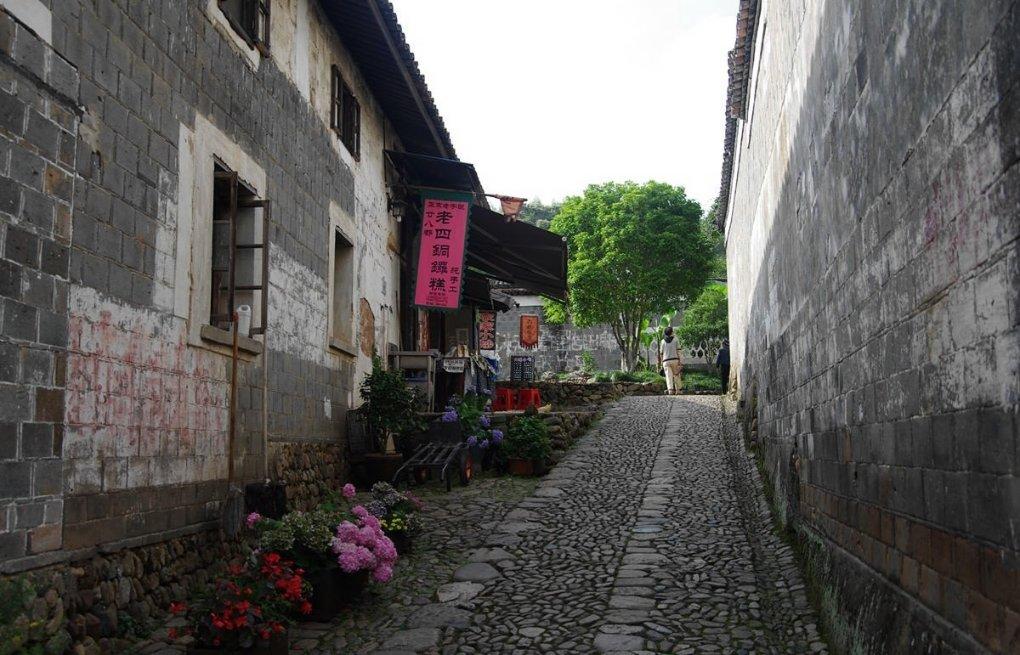 逃出林中村